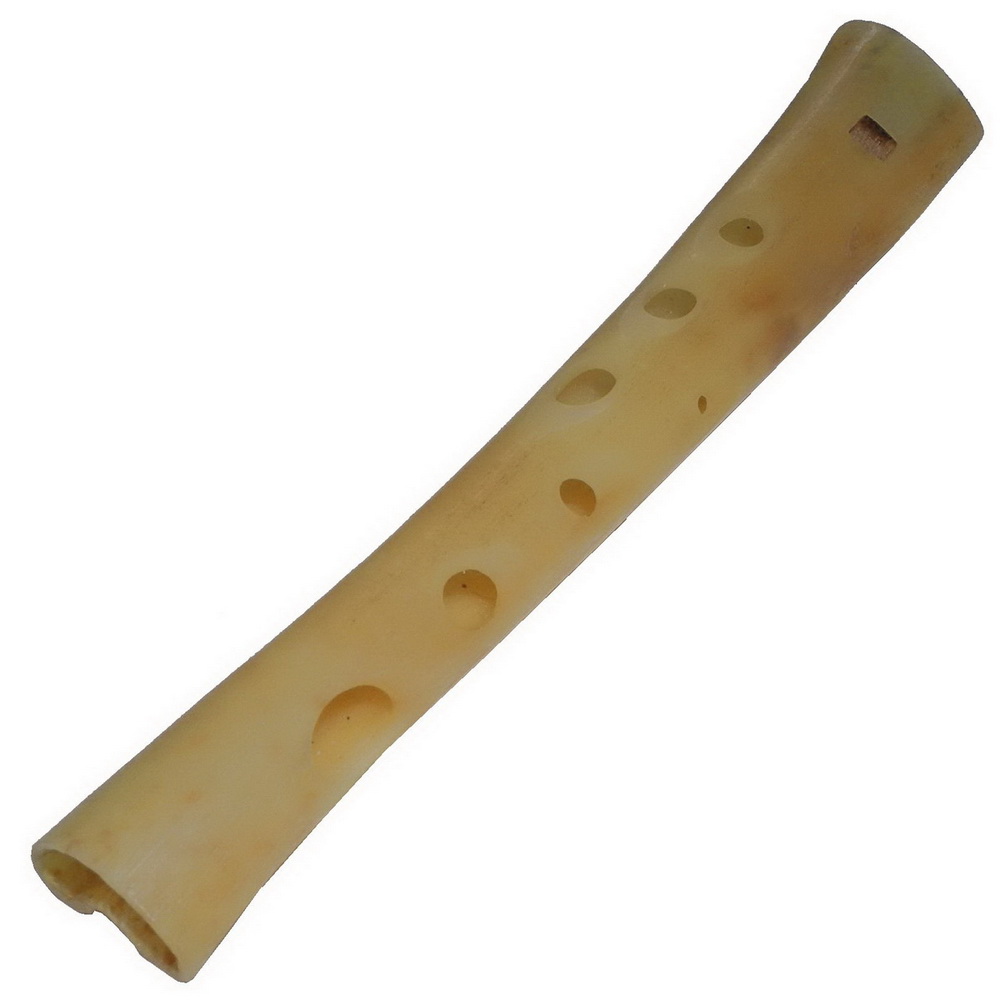 Flétna kostěná 